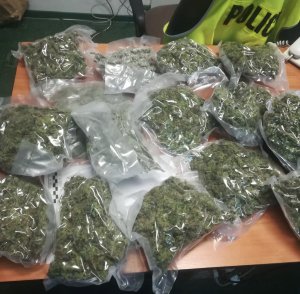 marihuana zapakowana w worki foliowe leżące na biurku